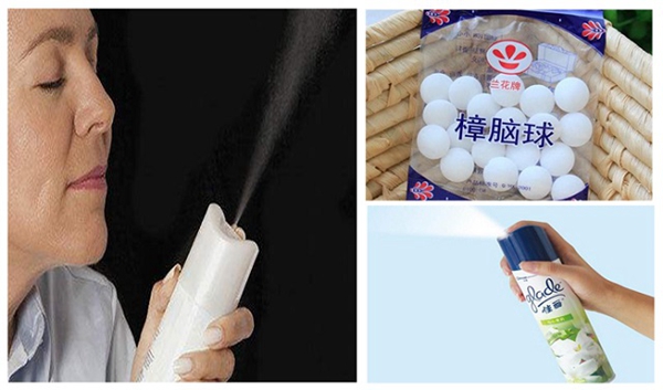 鄰居羨慕我家新房空氣清新，偷偷告訴你都是它的功勞