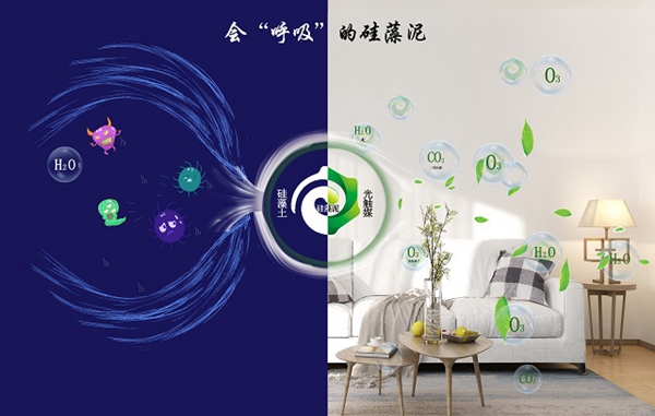 鄰居羨慕我家新房空氣清新，偷偷告訴你都是它的功勞