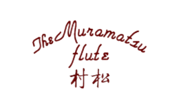 北京爾文樂器有限公司