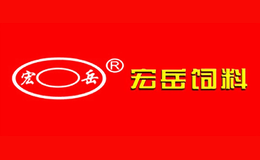 湖南宏岳科技股份有限公司
