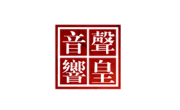 廣州市聲皇音響設(shè)備有限公司