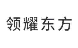 深圳市領(lǐng)耀東方科技股份有限公司
