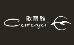 廣州市新藝寶樂器有限公司